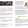 Flyer 2015